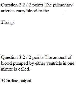 Week 6 Unit Exam 2